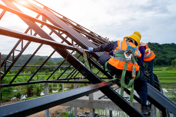 Best Slate Roofing Contractor  in Roma, TX