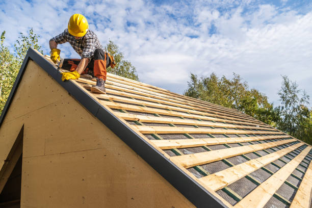 Gutter Installation and Roofing in Roma, TX