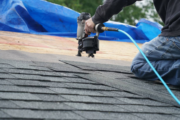 Best Gutter Installation and Roofing  in Roma, TX