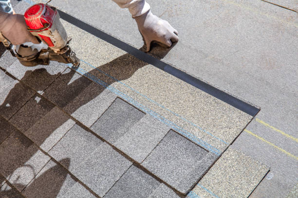Quick and Trustworthy Emergency Roof Repair Services in Roma, TX