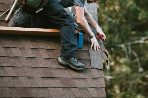 Roof Installation Near Me in Roma, TX